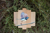Blue Wren