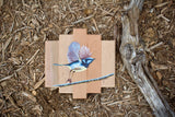 Blue Wren
