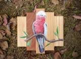 Galah