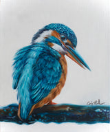 Mr Curious - Fine Art Print