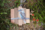 “Ranger” Laughing kookaburra original