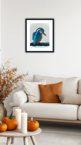 Mr Curious - the Common Kingfisher