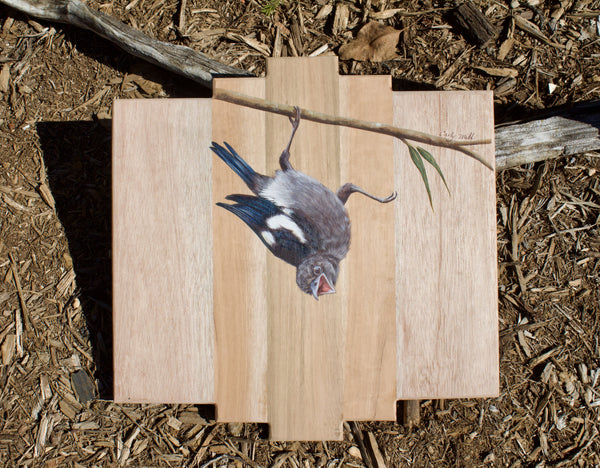 Baby Goofy Magpie - SOLD