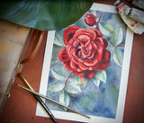 Velvet rose