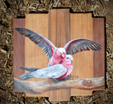 Galahs on Branch 50 x 50