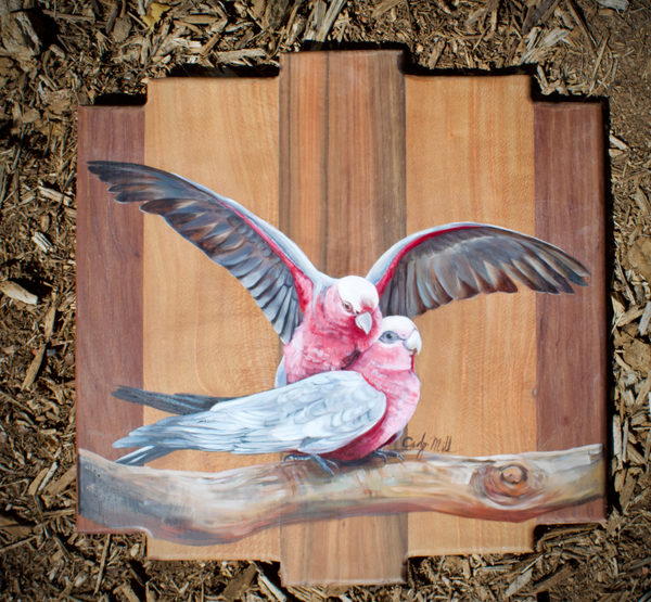 Galahs on Branch 50 x 50