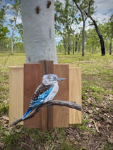 Blue winged kookaburra perched