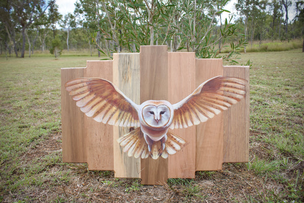Australian Barn Owl