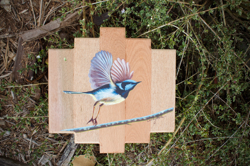 Blue Wren