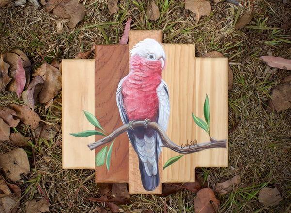 Galah