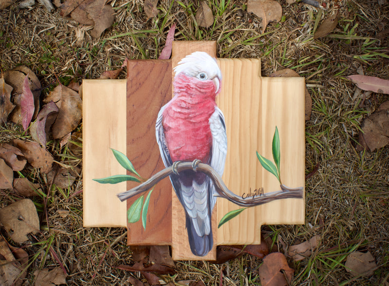 Galah