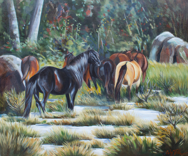 Snowy Mountain Brumbies — Original Oil Painting&nbsp;