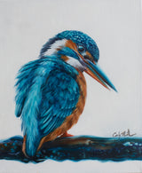 Mr Curious - the Common Kingfisher
