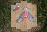 “The Larrikin” - original galah painting