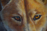 Dingo fine art print - Pre-Order