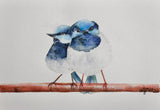 Fairy Wren Fine Art Print