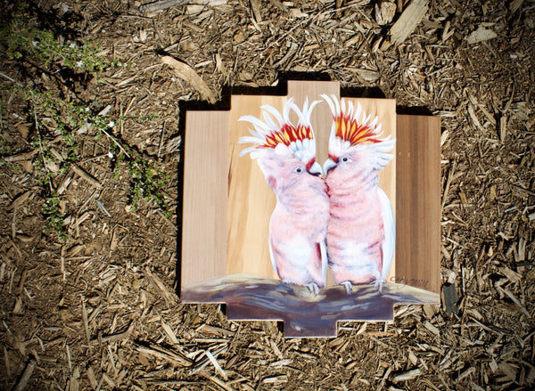 Pink Major Mitchell Cockatoos - SOLD