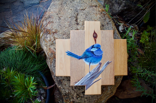 Superb fairy wren