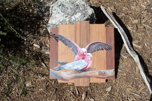 Galahs on Branch 50 x 50